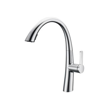 Epte kitchen sink mixer